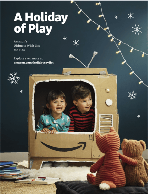 Amazon_ToyCover